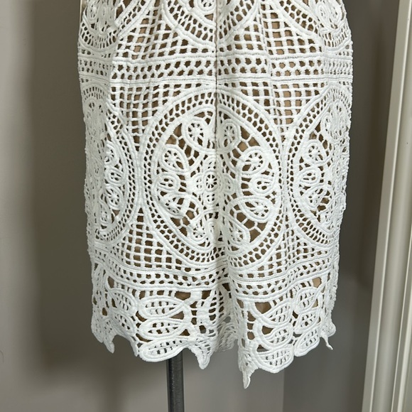 Monique Lhuillier x Anthropologie Yolande Lace Dress Ivory Scalloped Vneck 8 NEW - Picture 11 of 16